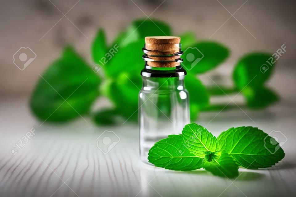 Garrafa de âmbar em branco com óleo essencial Peppermint com folhas frescas de hortelã, aroma à base de plantas em frasco de vidro escuro.
