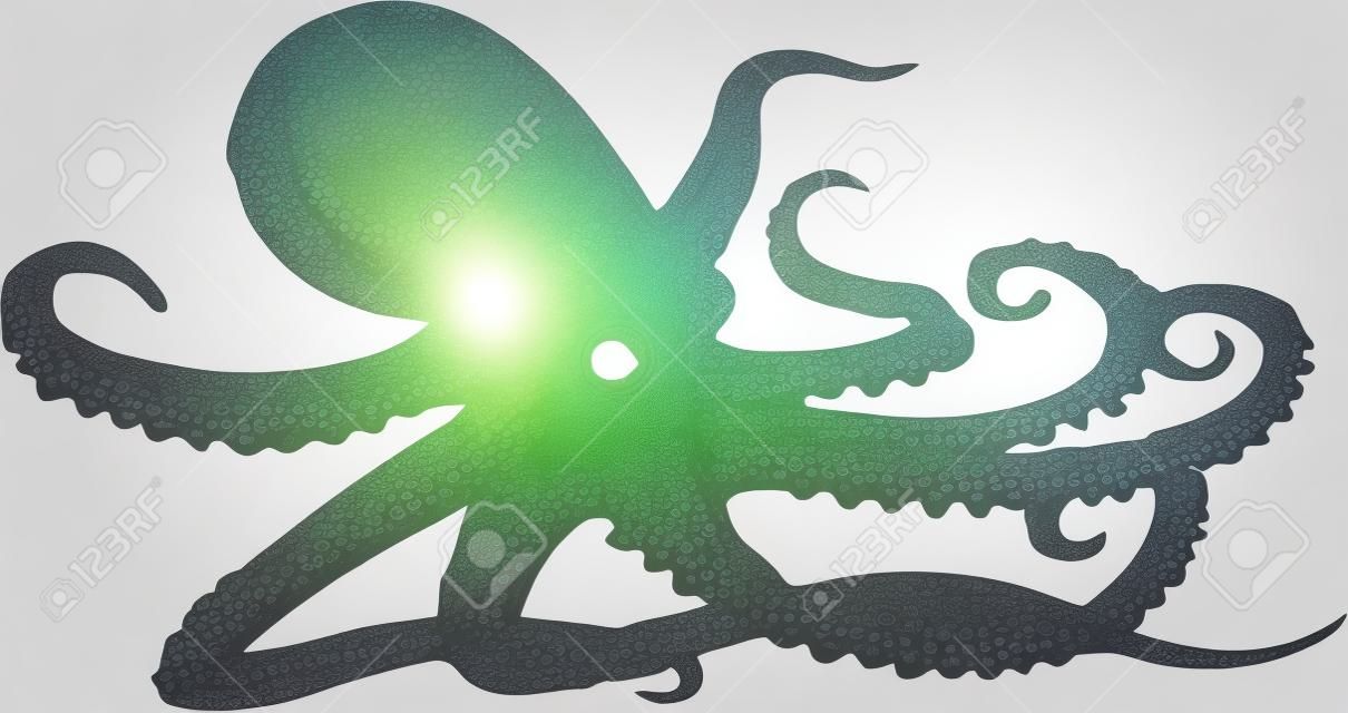 octopus icon isolated on white background