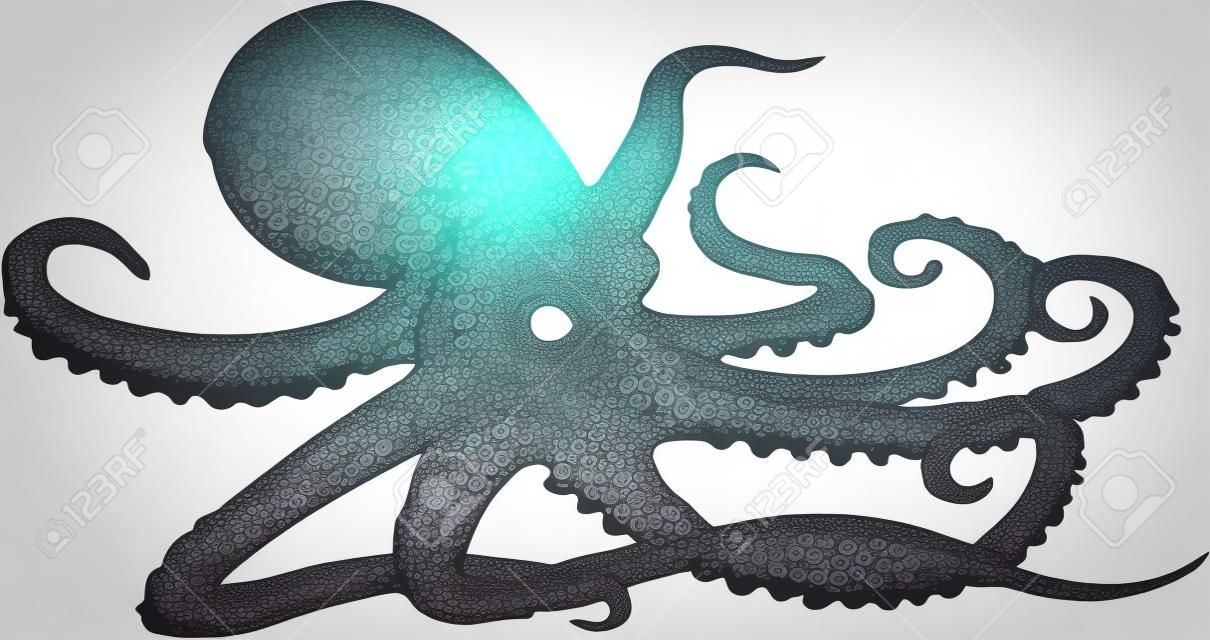 octopus icon isolated on white background