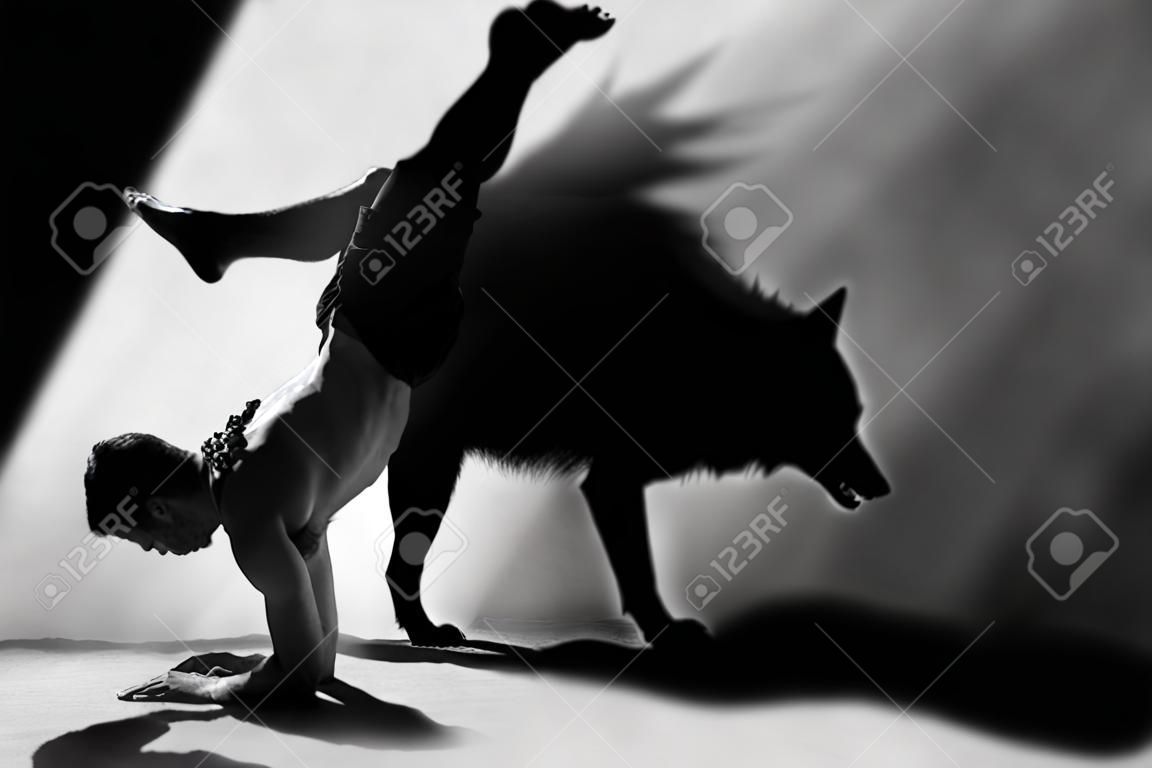 Photomanipulation ATR en studio avec le loup ombre