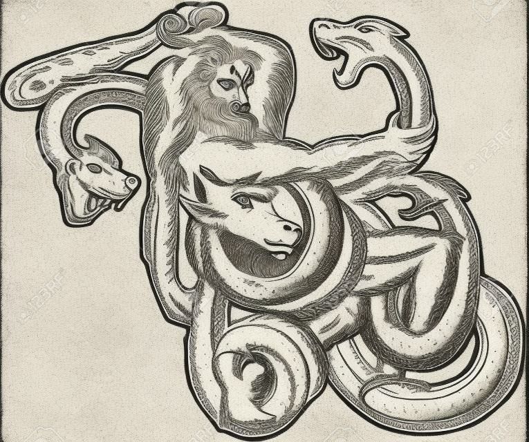 Trawienie grawerowanie ręcznie stylu ilustracji Herkulesa lub Heraklesa z mitologii greckiej sobie głowę lwa skóry walki z Hydra Lernejska lub Three headed węża na pojedyncze białym tle.