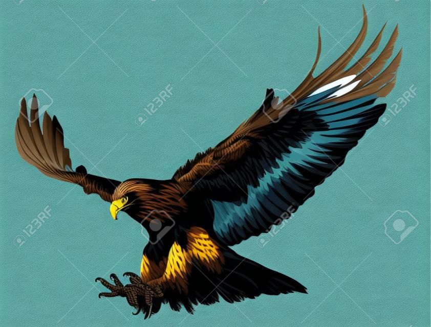 Goldener Adler fliegen Swoop und Lackfarbe auf blauem Hintergrund Illustration.