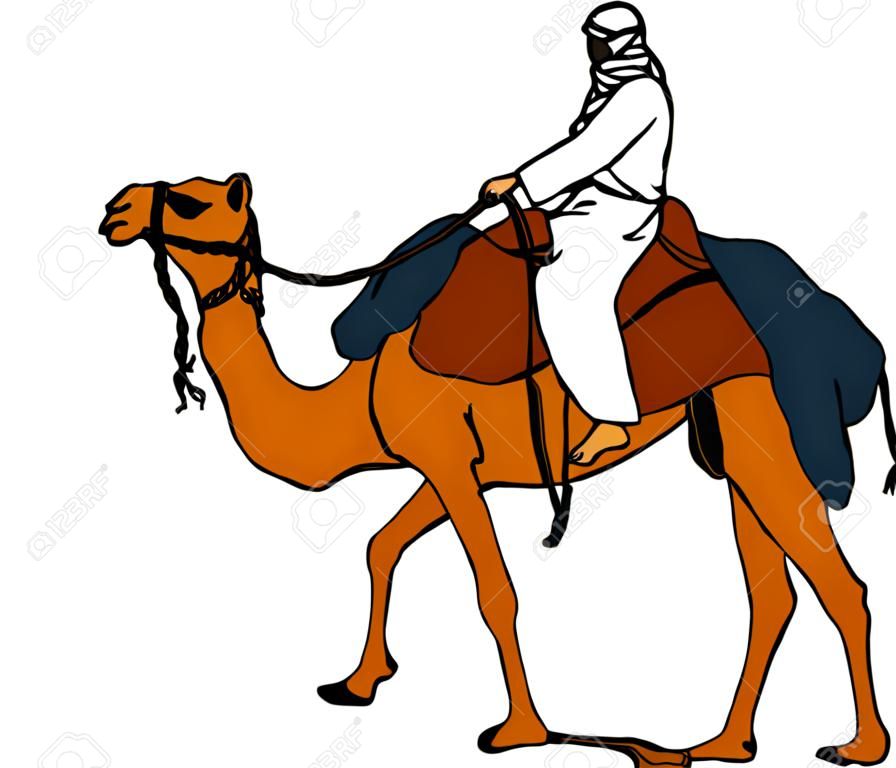 贝多因骑骆驼骑在背景上