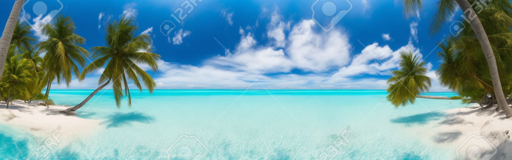 Panorama Beach alle Maldive con cielo azzurro, le palme e acqua turchese