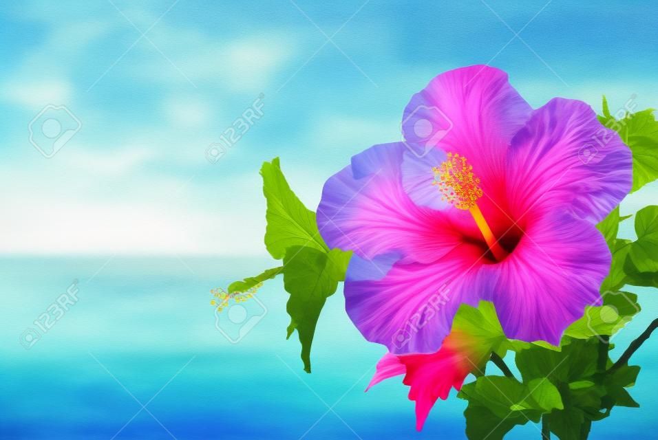 Hibiscus and sea