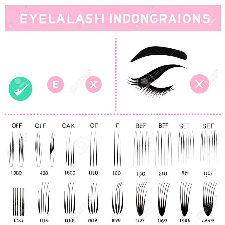 Eyelash extension infographics. Volume boost guide, fake lashes application, eyelashes cluster set. Can be used for beauty care or salon concept