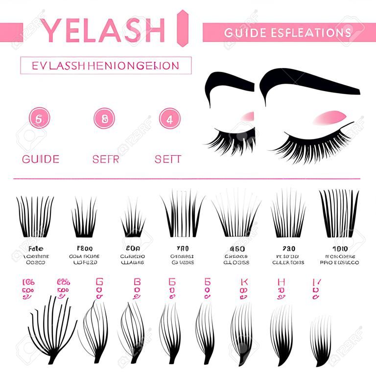 Eyelash extension infographics. Volume boost guide, fake lashes application, eyelashes cluster set. Can be used for beauty care or salon concept