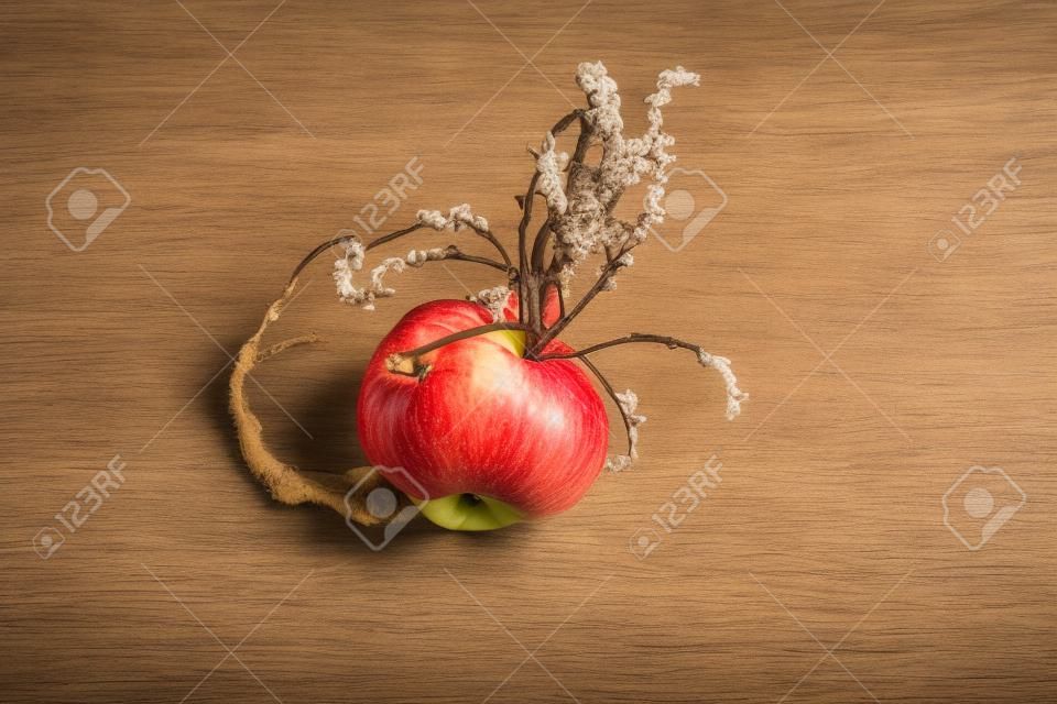 Apple. Peruvian root for vitality, energy and healty. Black Peruvian Maca on white background. Root aphrodisiac for health.