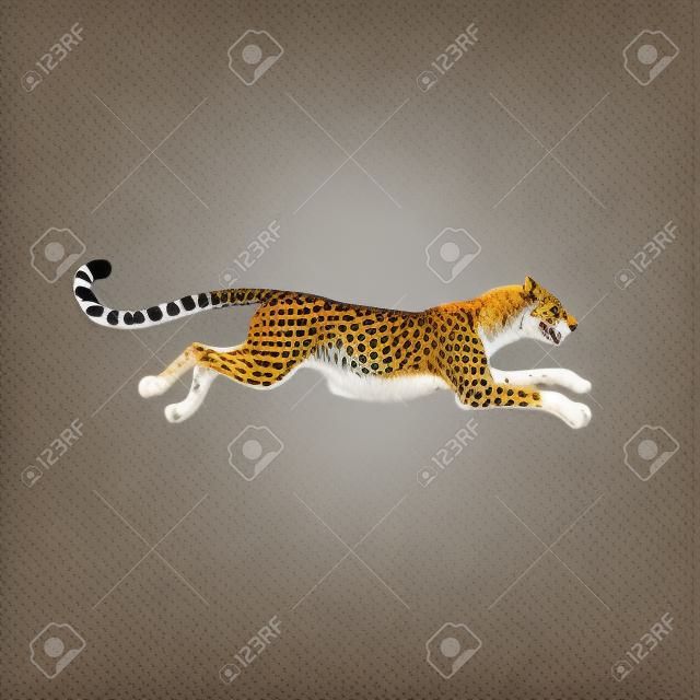 Kreskówka zwierząt guepard działa szybko z dużą prędkością na białym tle
