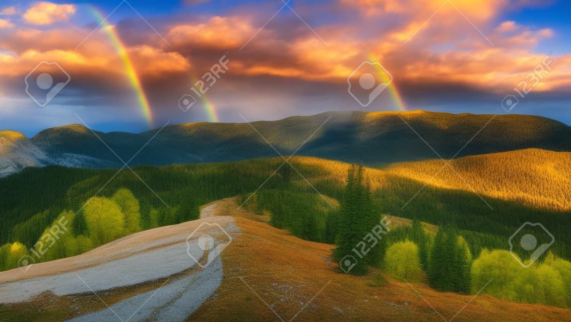 composite mountain landscape. pine trees by the road through meadow on hillside in sunset light with rainbow