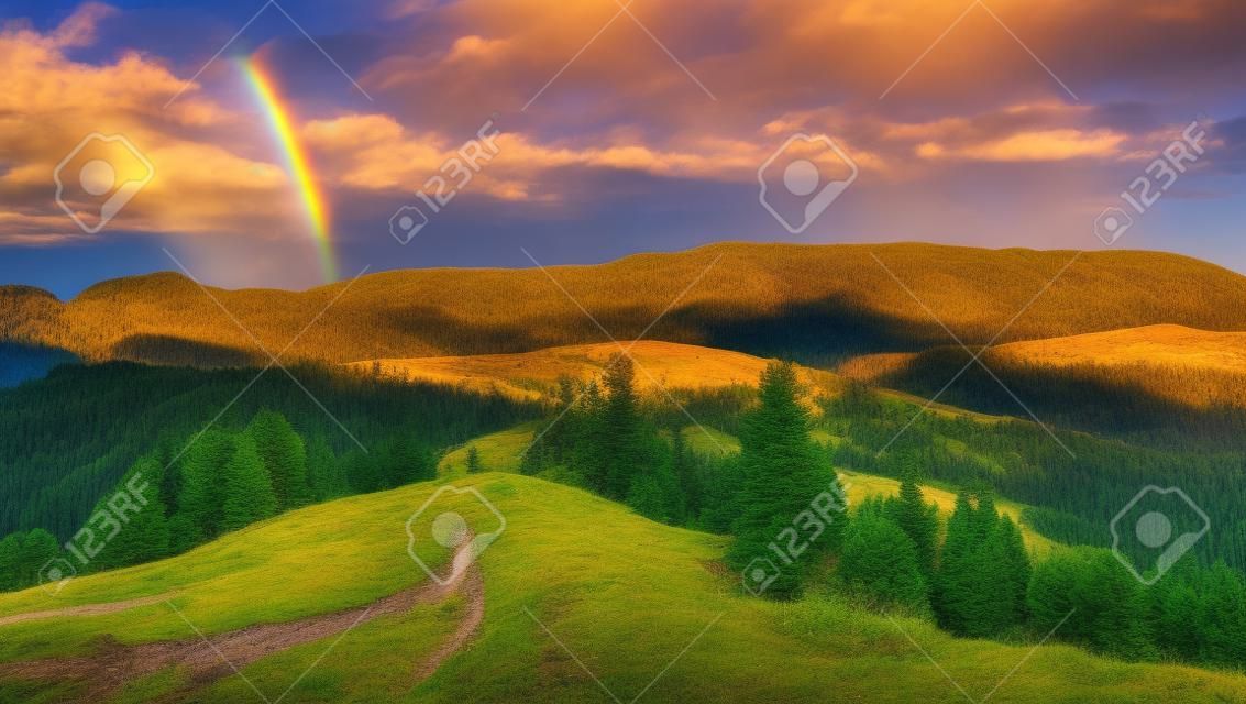 composite mountain landscape. pine trees by the road through meadow on hillside in sunset light with rainbow