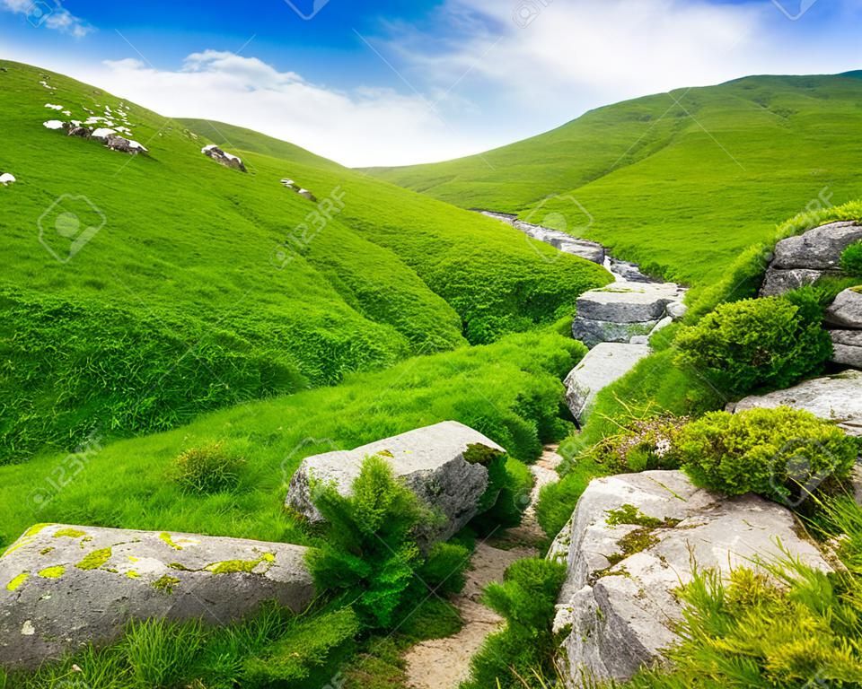 горный летний пейзаж. долина с камнями в траве на вершине холма стороне горного хребта