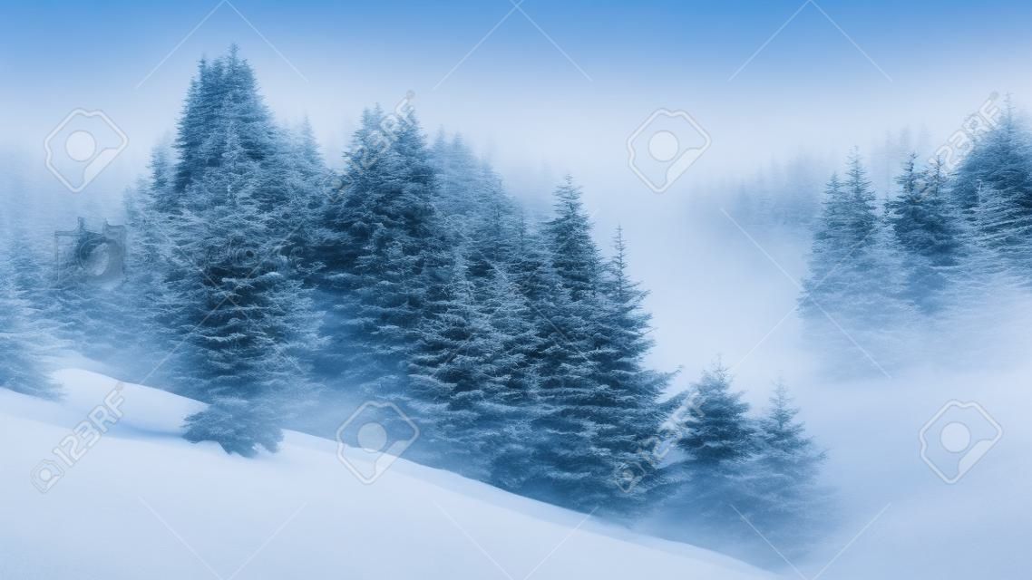 paysage de conte de fées d'hiver dans les montagnes. beau paysage naturel avec forêt de conifères dans le brouillard et quelques épinettes sur la pente enneigée. merveilleuse ambiance de Noël le matin brumeux