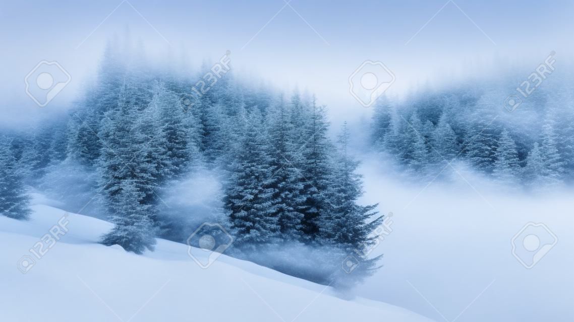 paysage de conte de fées d'hiver dans les montagnes. beau paysage naturel avec forêt de conifères dans le brouillard et quelques épinettes sur la pente enneigée. merveilleuse ambiance de Noël le matin brumeux