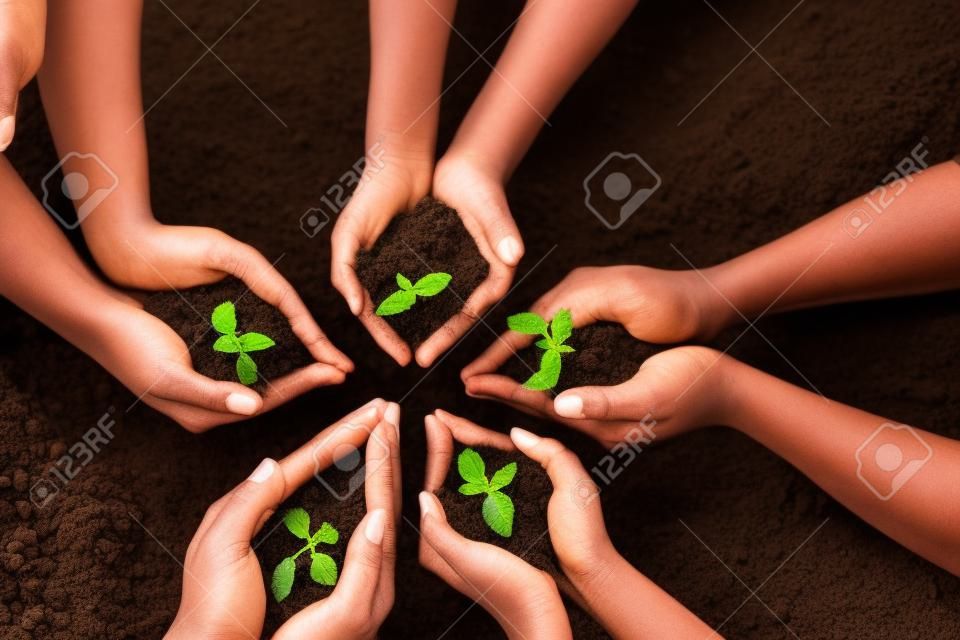 Las cosas buenas toman tiempo. un grupo de personas irreconocibles que sostienen plantas que crecen fuera del suelo.