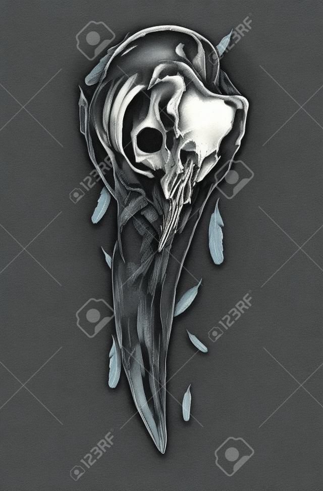 Illustration du crâne de corbeau