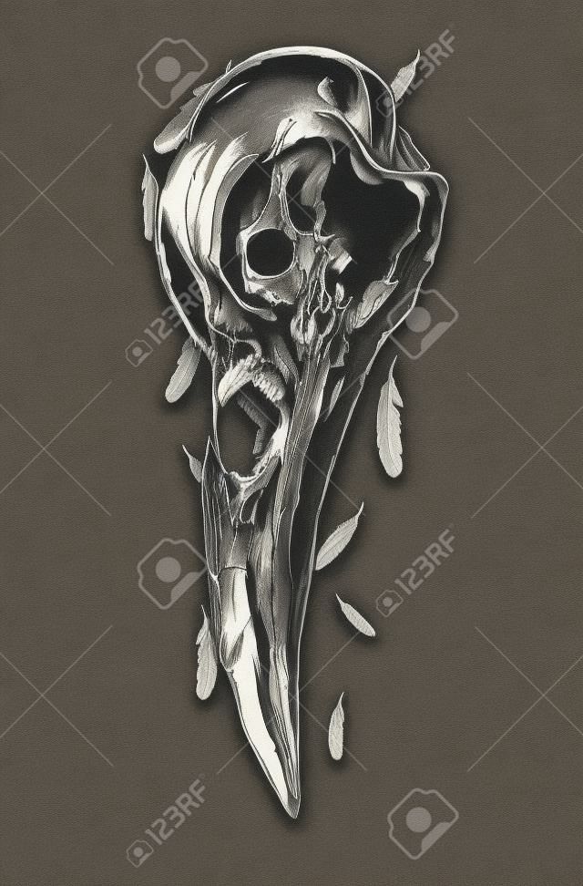 Ilustracja czaszki wrona