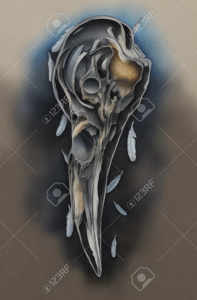 Ilustracja czaszki wrona