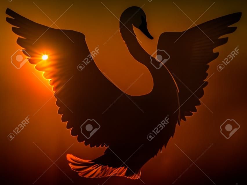 silhouette de cygne