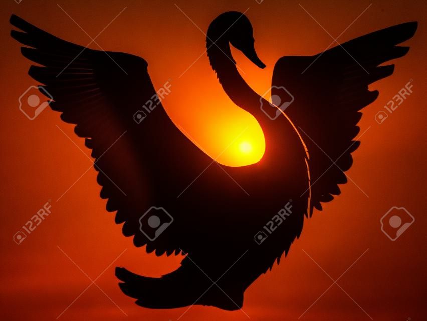 silhouet van zwaan