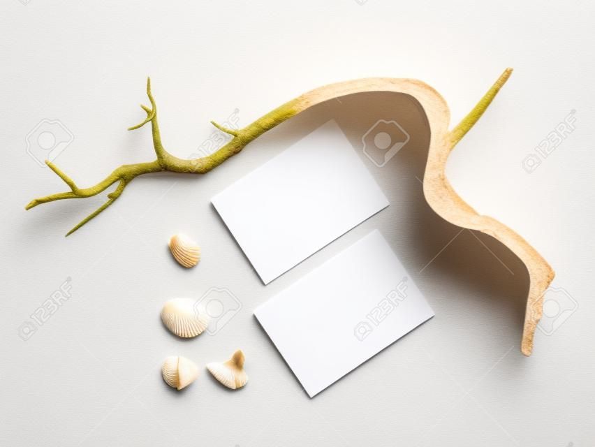 Blank white card, dry brunch and shells on beige background top view. Forms for business, advertising. Empty space for text. Minimal modern style