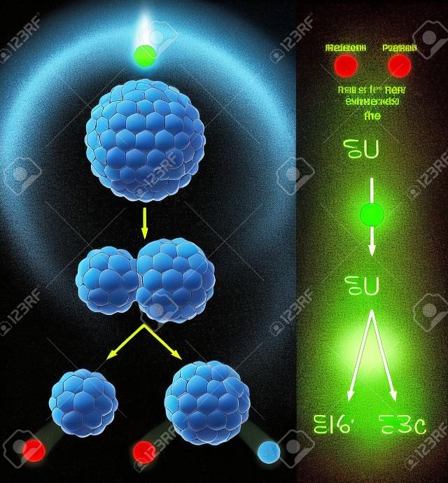 Nuclear Fission Of Uranium 235 - Radioactive decay process  The nucleus of an uranium 235 atom splits into smaller isotopes krypton and barium, producing free neutron, gamma rays and releasing a large amount of energy  With labeling 