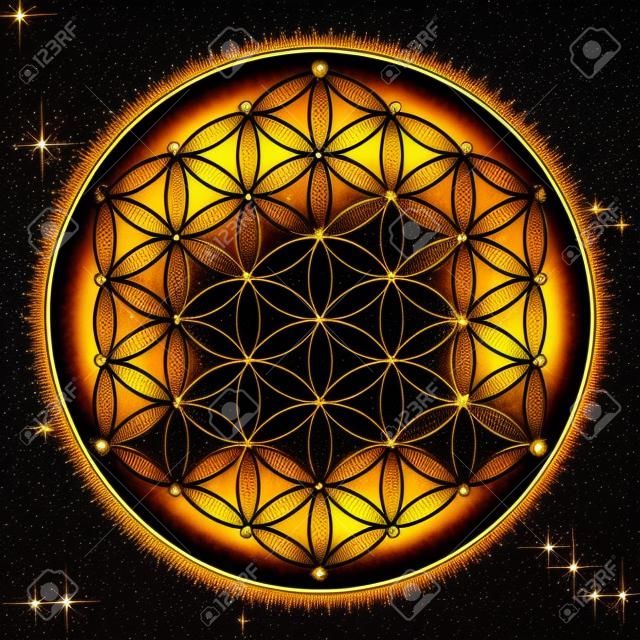 Flor de la Vida cósmica dorada con estrellas sobre fondo negro, un símbolo espiritual y geometría sagrada desde tiempos antiguos.