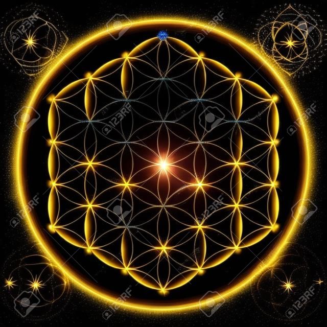 Fleur cosmique or de la vie avec des étoiles sur fond noir, un symbole spirituel et la géométrie sacrée depuis les temps anciens.