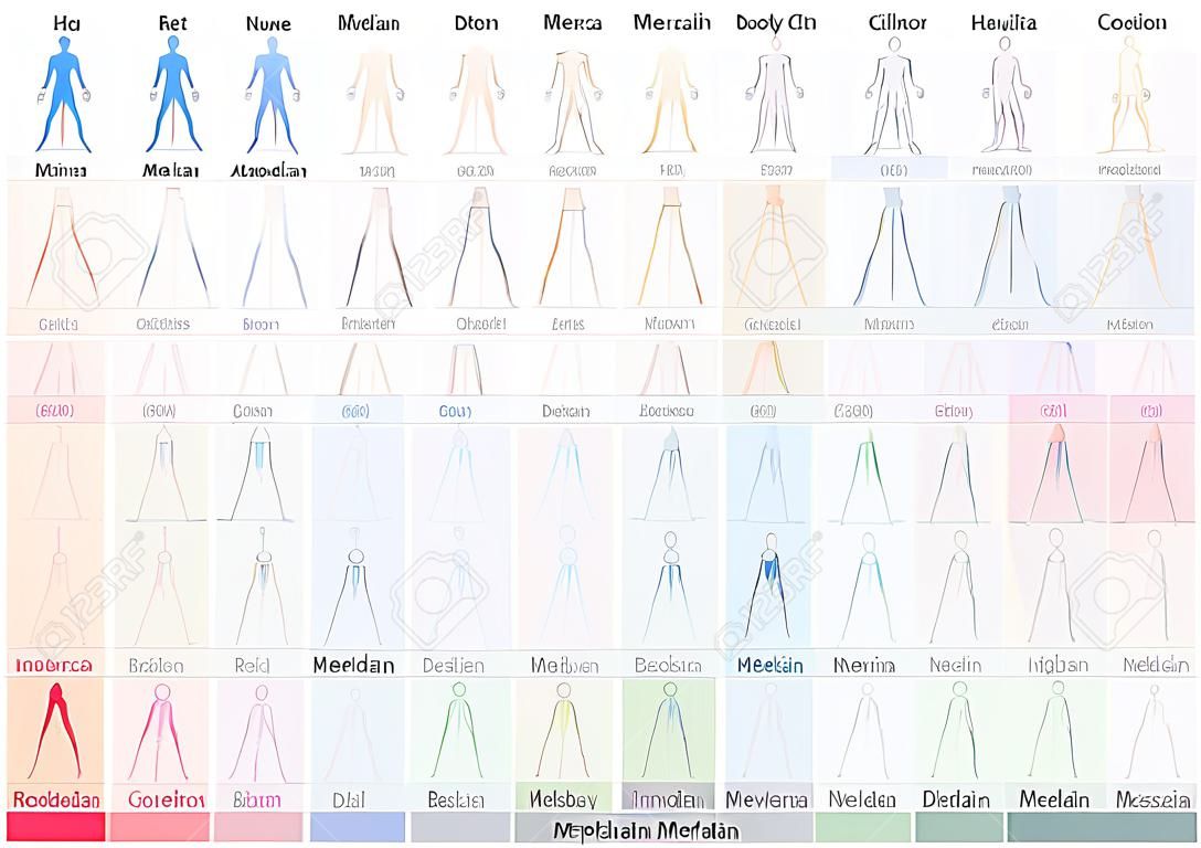 Body meridian chart with names and different colors - Traditional Chinese Medicine.