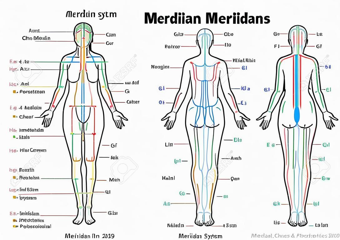 MERIDIAN SYSTEM CHART - Weiblicher Körper mit Haupt- und Mittel Akupunktur-Meridian - vordere und hintere Ansicht - Traditionelle Chinesische Medizin.