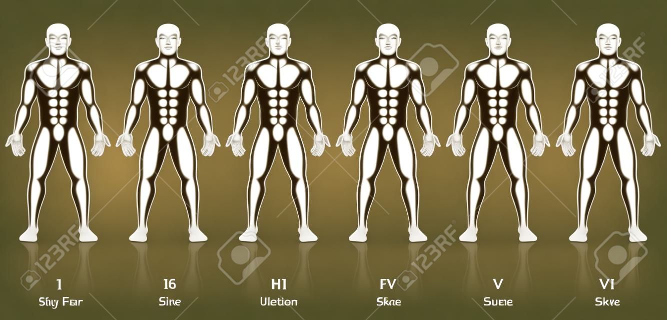 Tipos de pele. Seis homens com diferentes cores de pele. Muito justo, justo, médio, oliva, marrom e preto, para determinar o fator de proteção solar.