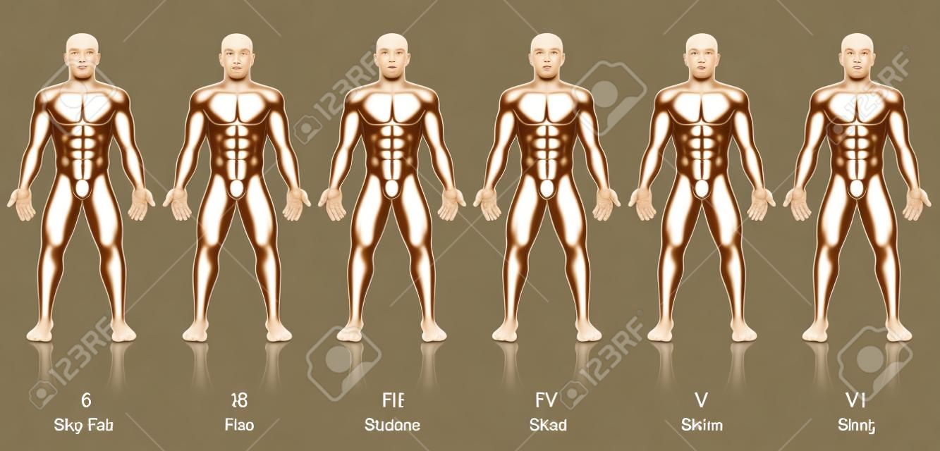 Types de peaux. Six hommes avec différentes couleurs de peau. Très juste, juste, moyen, olive, marron et noir, pour déterminer le facteur de protection solaire.
