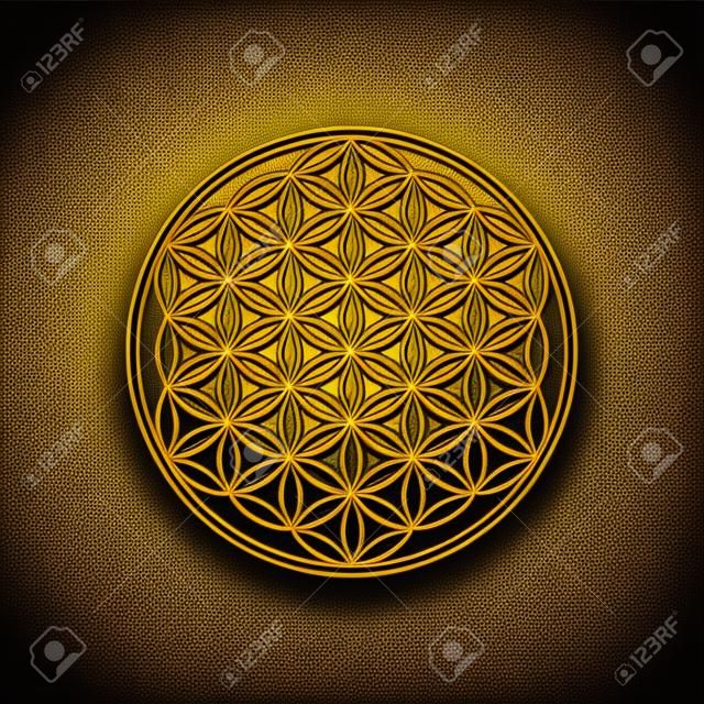 Fleur de vie dorée, utilisée pour la décoration ou le pendentif doré. Symbole géométrique sur fond noir.