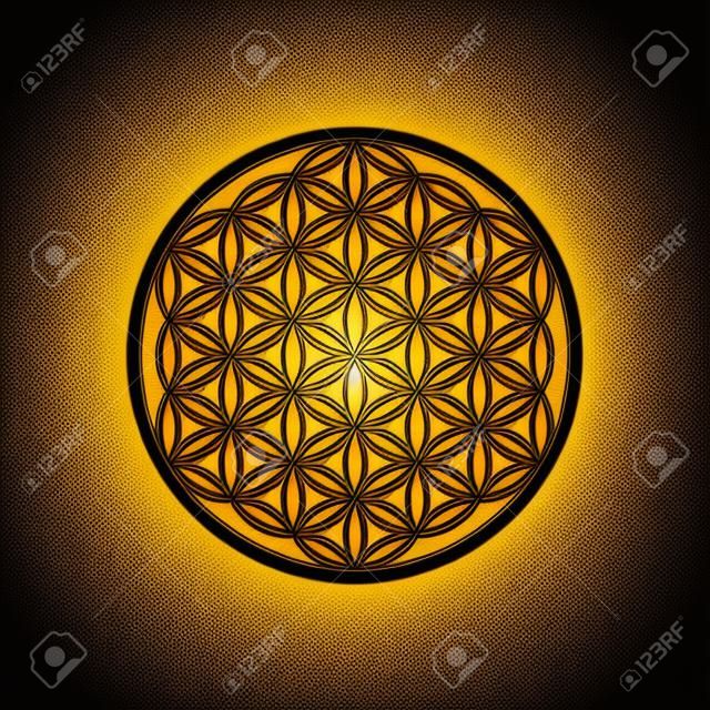 Goldene Blume des Lebens, zur Dekoration oder als goldener Anhänger. Geometrisches Symbol auf schwarzem Hintergrund.