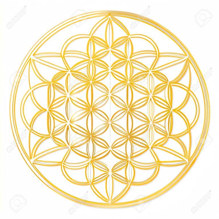 Golden Flower of Life, used for decoration or golden pendant. Geometrical symbol on white background.