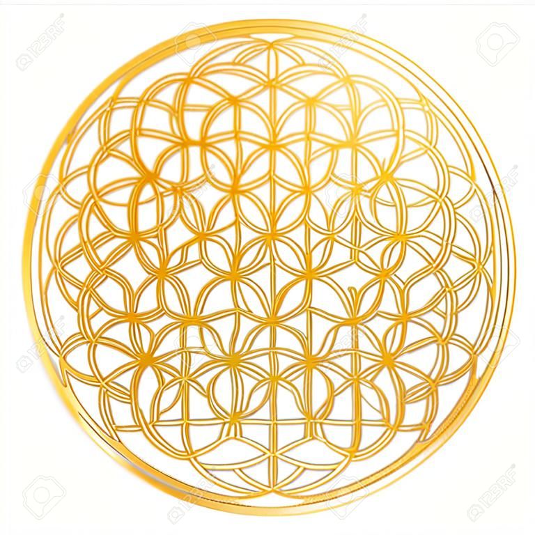 Gouden Bloem van het Leven, gebruikt voor decoratie of gouden hanger. Geometrische symbool op witte achtergrond.