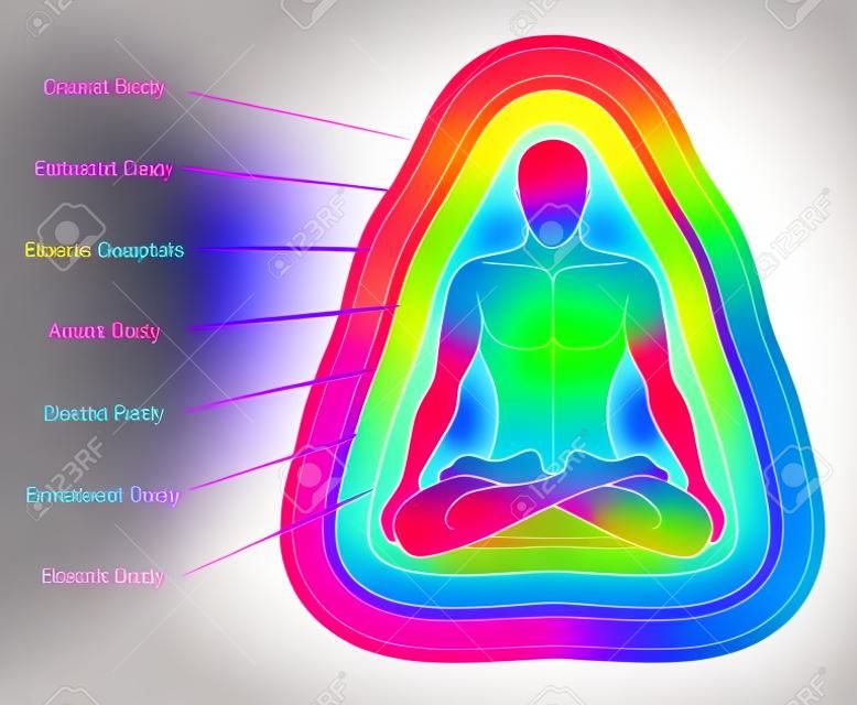 Aura bodies. Rainbow colored labeled layers of a male body. Etheric, emotional, mental, astral, celestial and causal layer. Isolated vector illustration on white background.