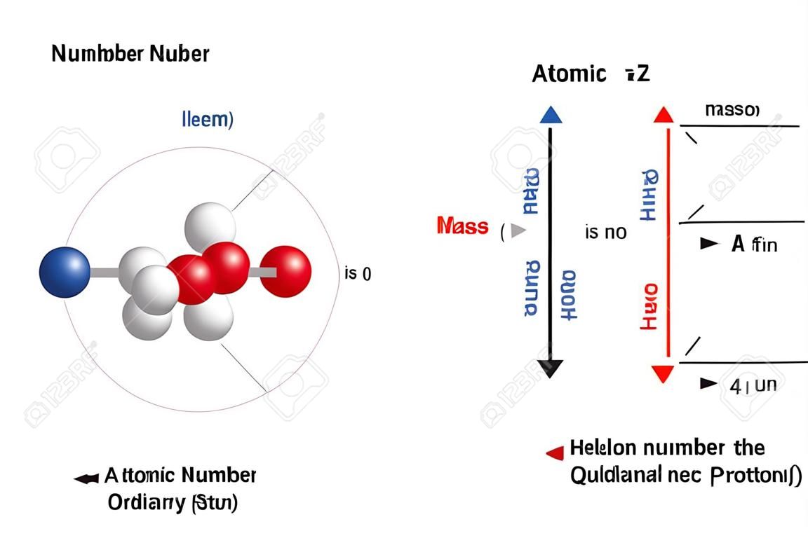 Numero atomico e numero di massa degli atomi ordinari, usando l'elio come esempio. il numero atomico (z) è anche il numero di protoni (np). il numero di massa (a) è il numero totale di ne