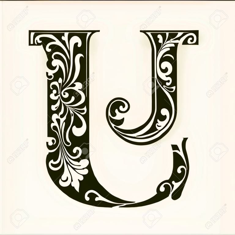 Elegant capital letter U in the style of the Baroque. To use monograms, logos, emblems and initials.