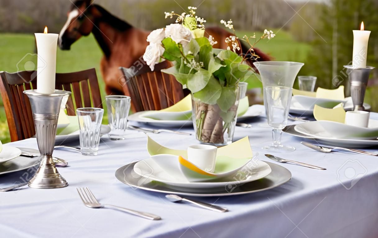 Table setting outdoors with horses in the background