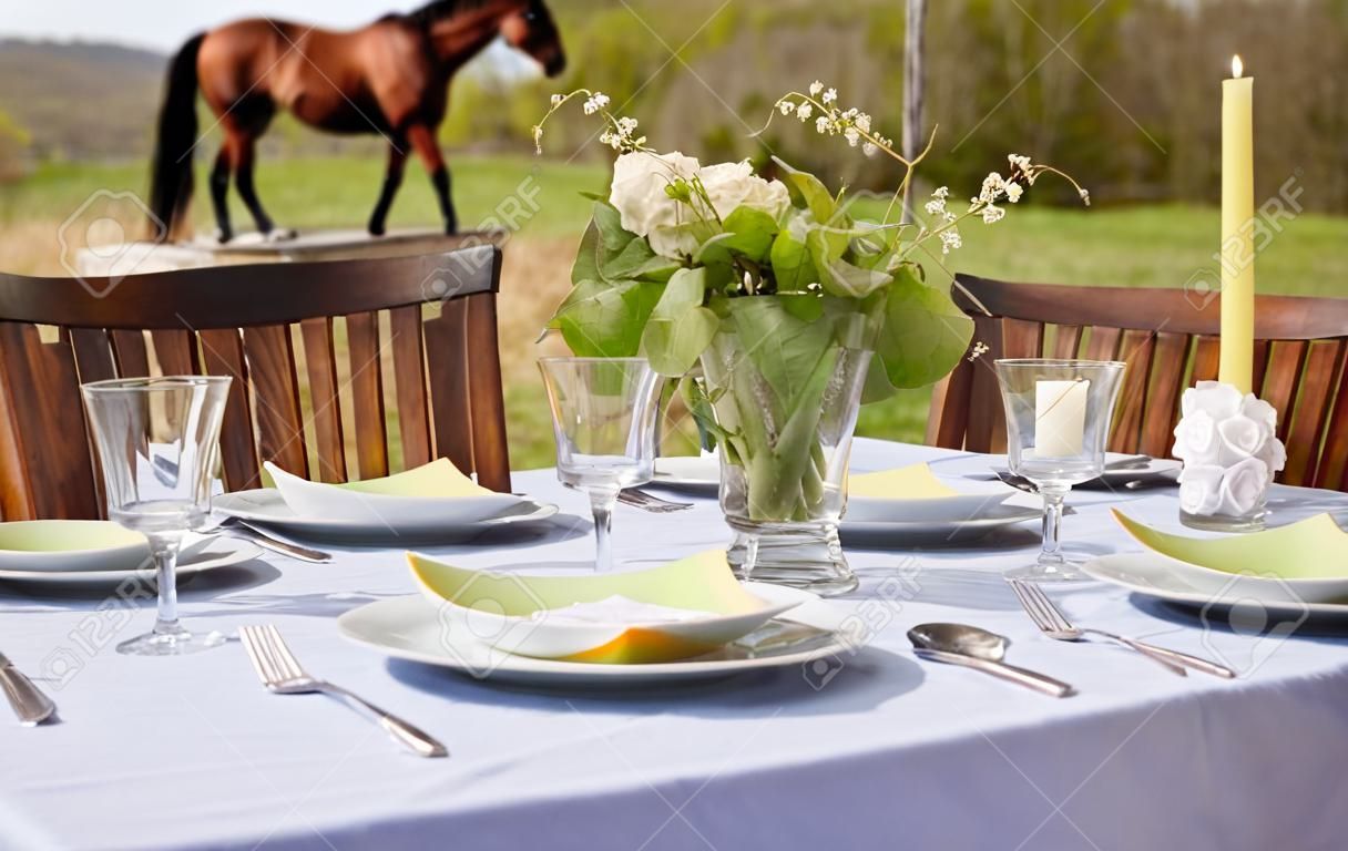 Table setting outdoors with horses in the background