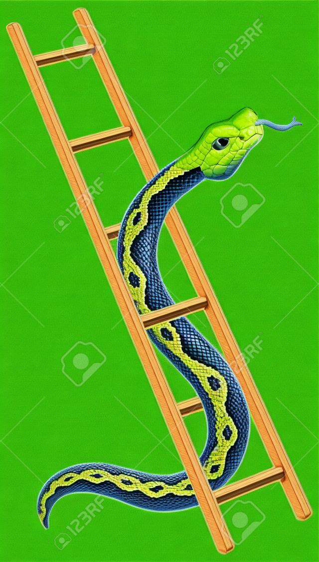 Schlange und Leiter
