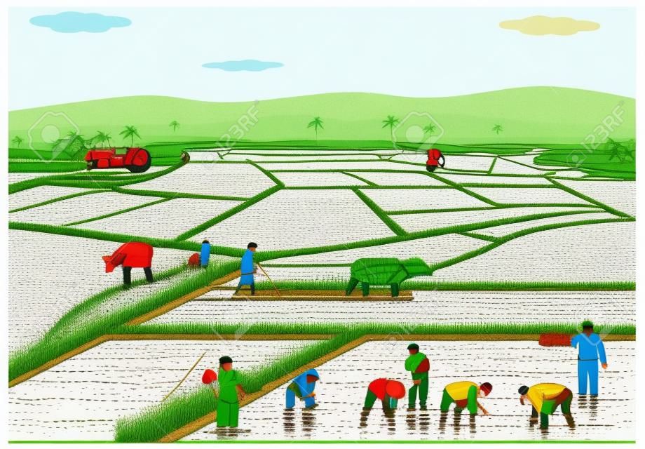 Illustration of farmers planting rice in paddy field.