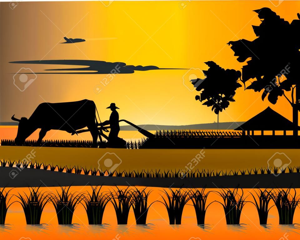 Sylwetka rolnika pług w projekcie wektora pola ryżowego