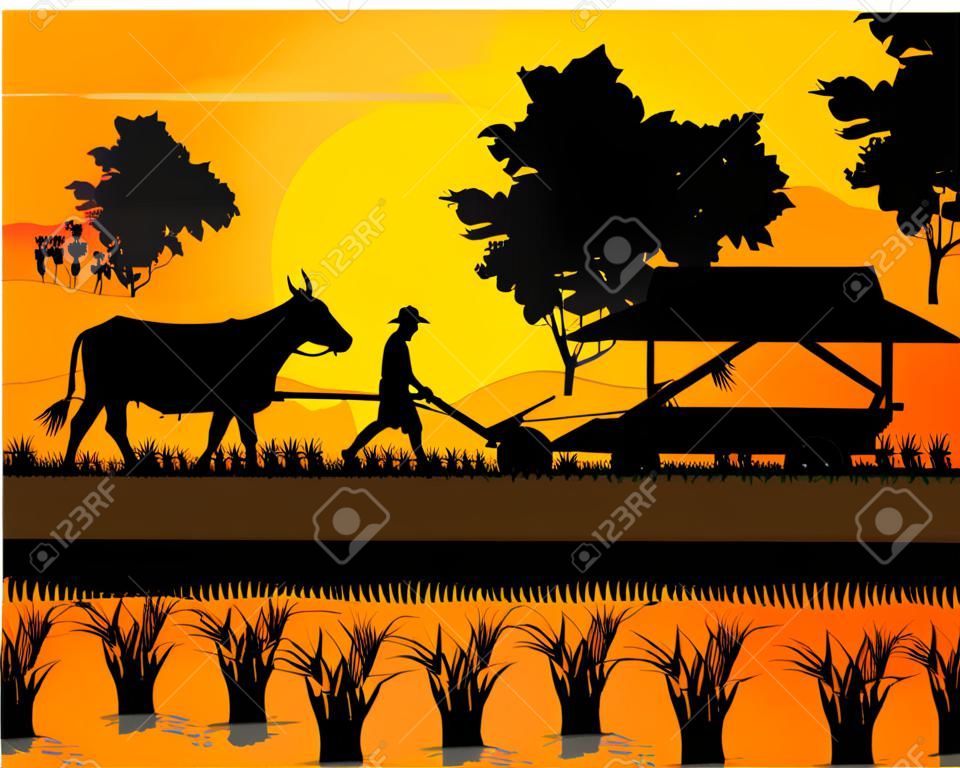 silhouette farmer plow in paddy field vector design