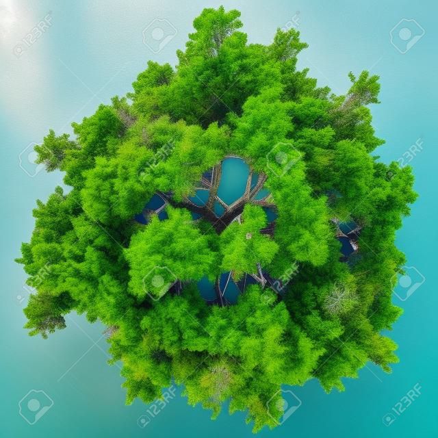 tree top view