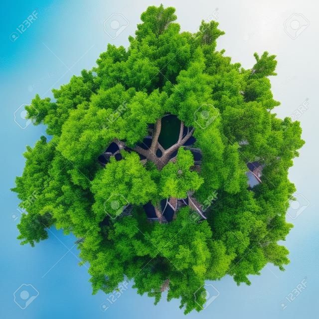 tree top view