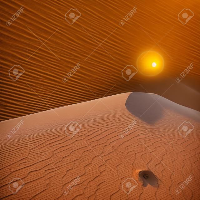 アフリカの砂丘に美しい日