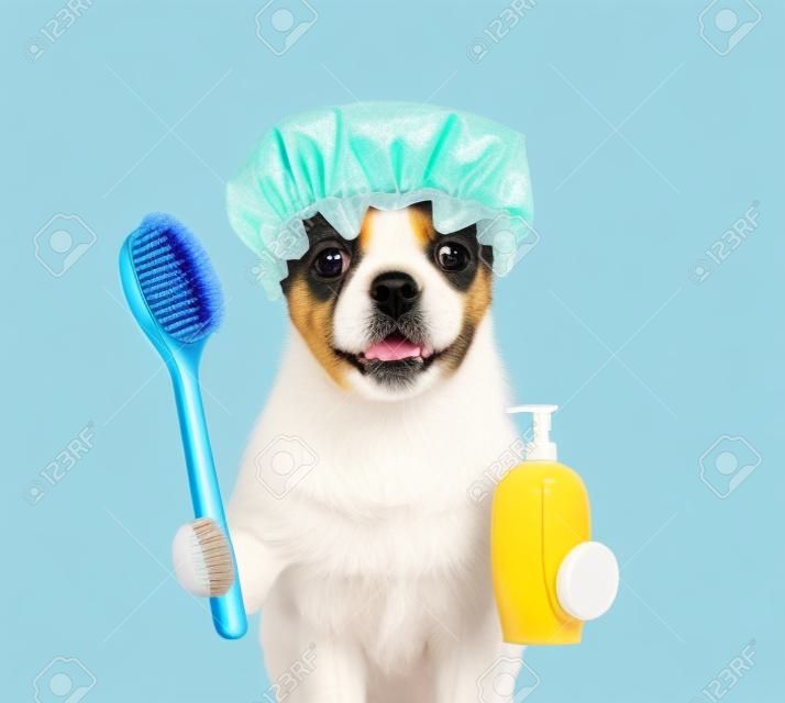 Cucciolo con cuffia da doccia che tiene la spazzola da bagno e la bottiglia di shampoo. isolato su sfondo bianco.