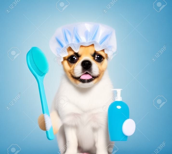 Puppy met douche cap houden badborstel en shampoo fles. geïsoleerd op witte achtergrond.